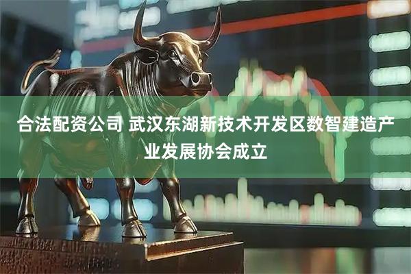 合法配资公司 武汉东湖新技术开发区数智建造产业发展协会成立